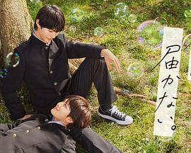 合肥网络seo优化推广